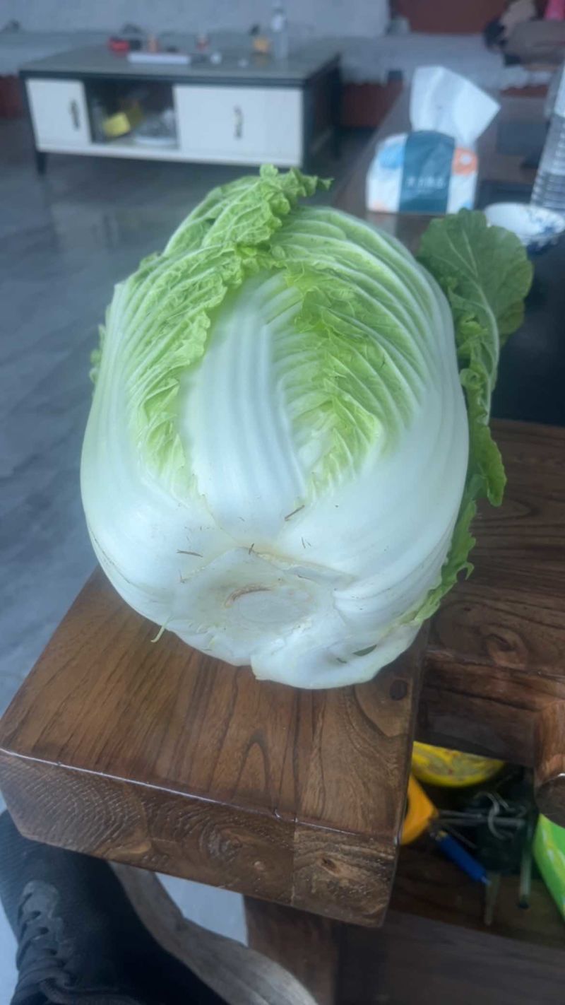 精品黄心