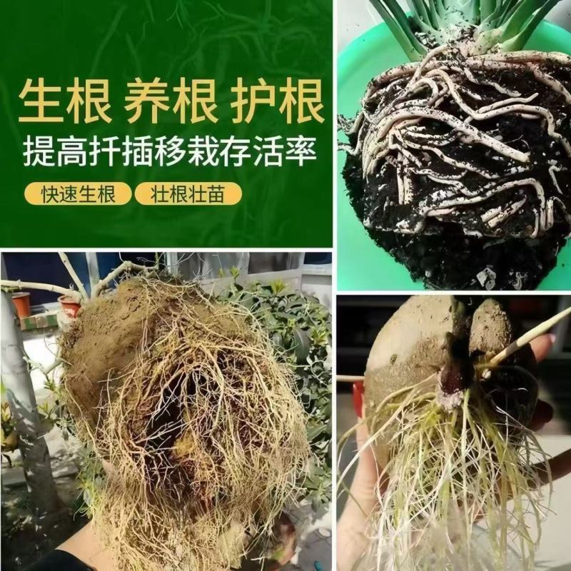 生根粉