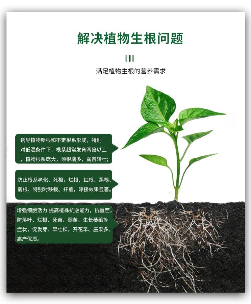 生根粉