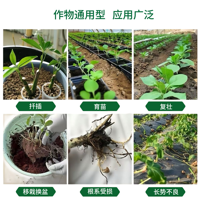 生根粉