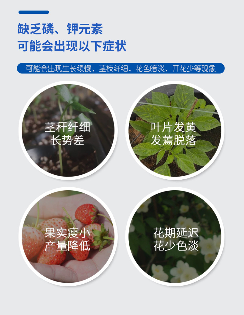 磷酸二氢钾水溶肥
