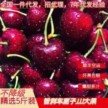 车厘子电商一件代发/全平台对接/淘宝/拼多多/**/直播