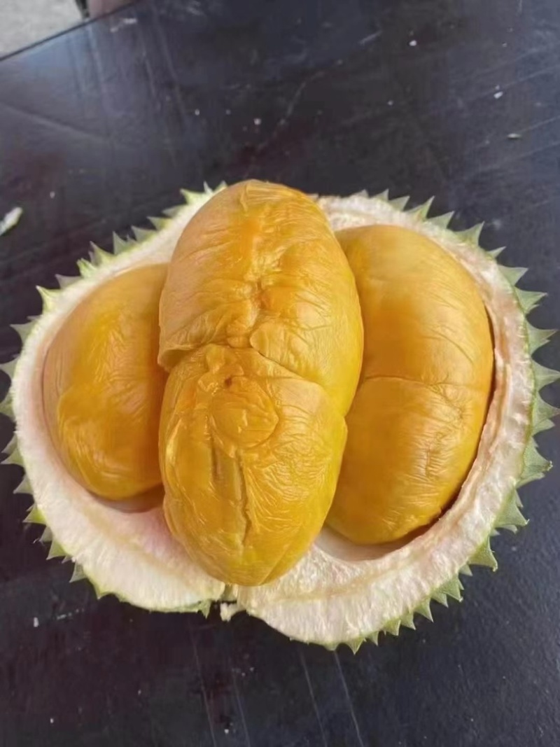 马来西亚黑剌榴莲