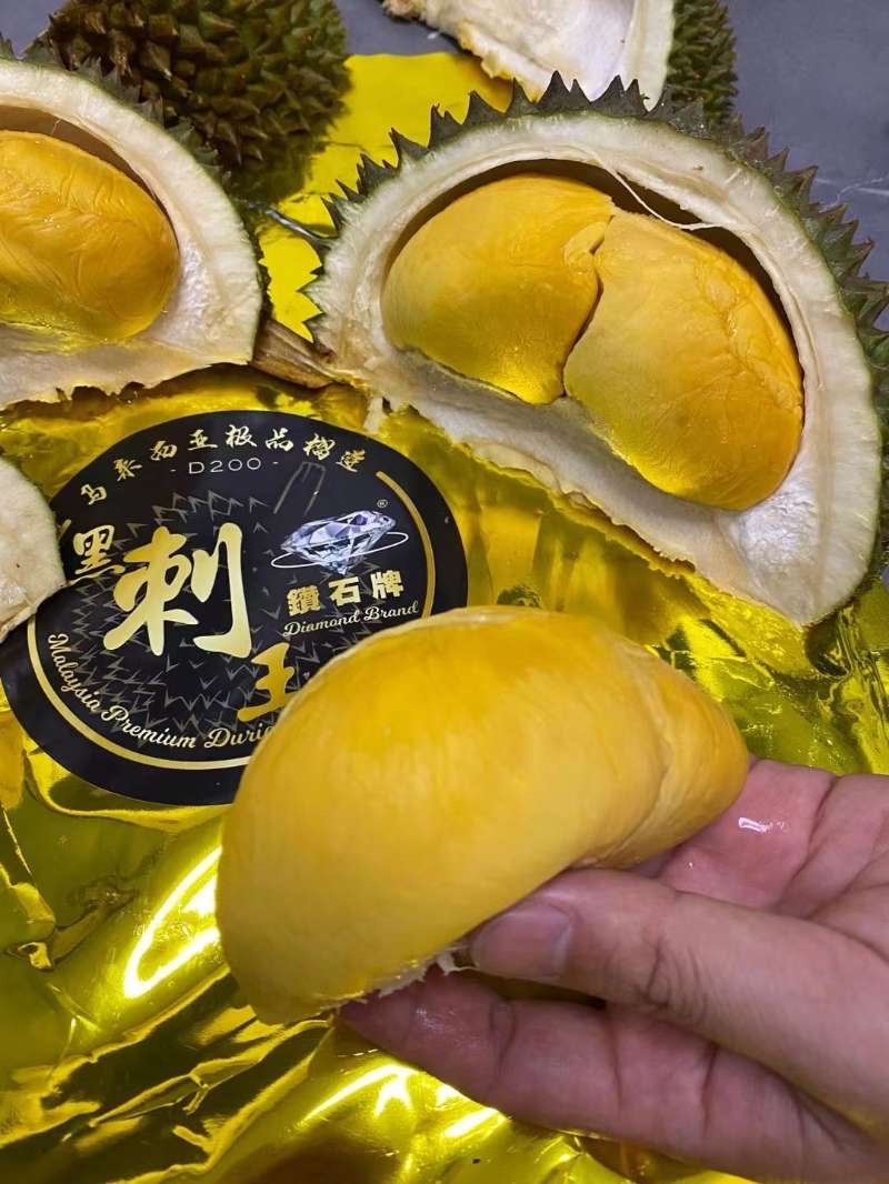 马来西亚黑剌榴莲