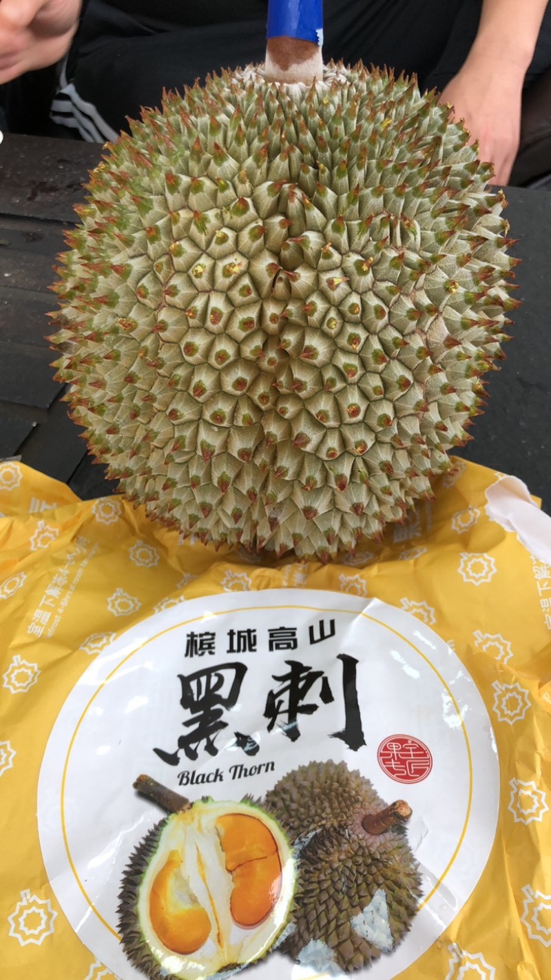 马来西亚黑剌榴莲