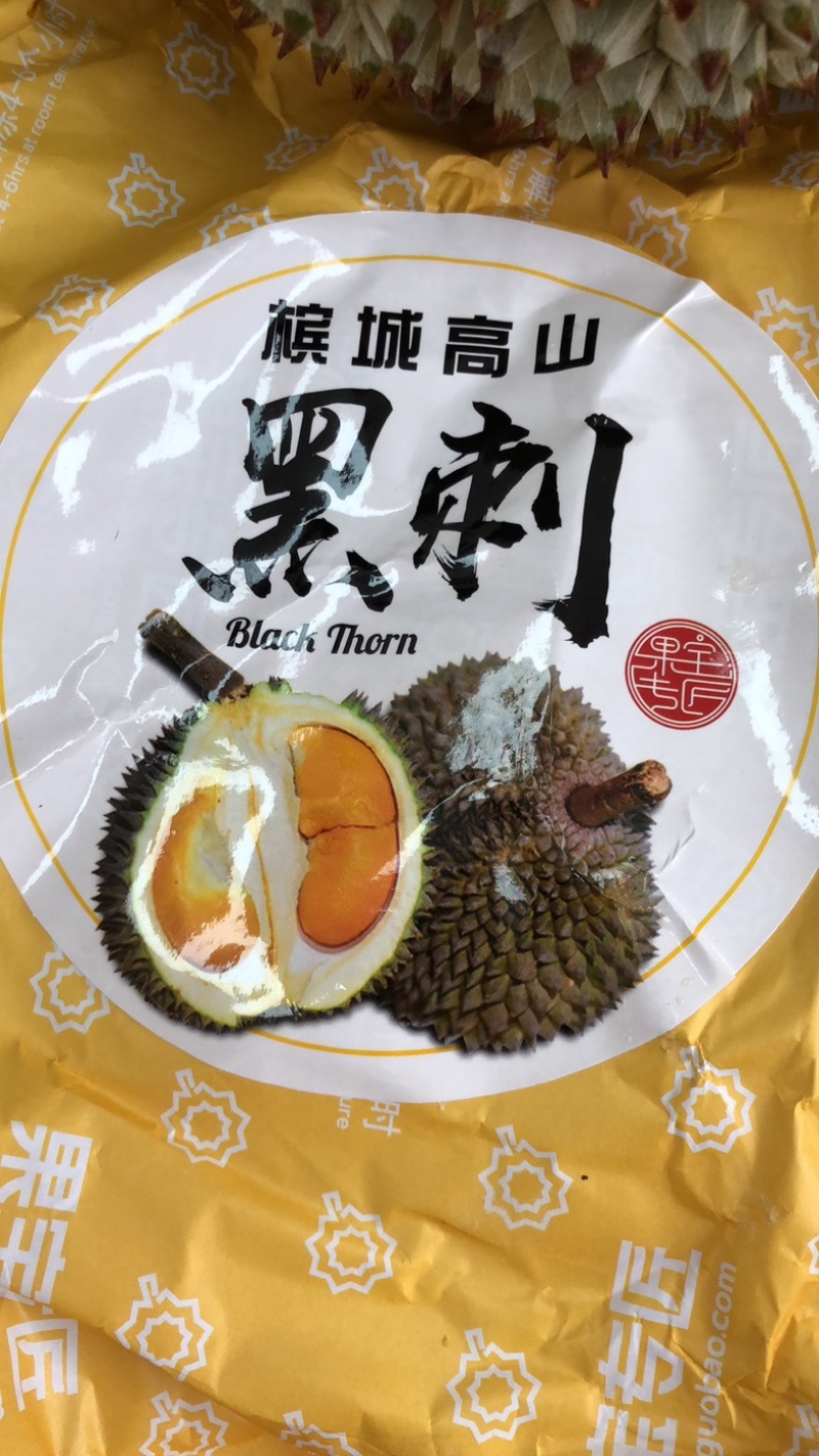 马来西亚黑剌榴莲