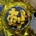 马来西亚黑剌榴莲