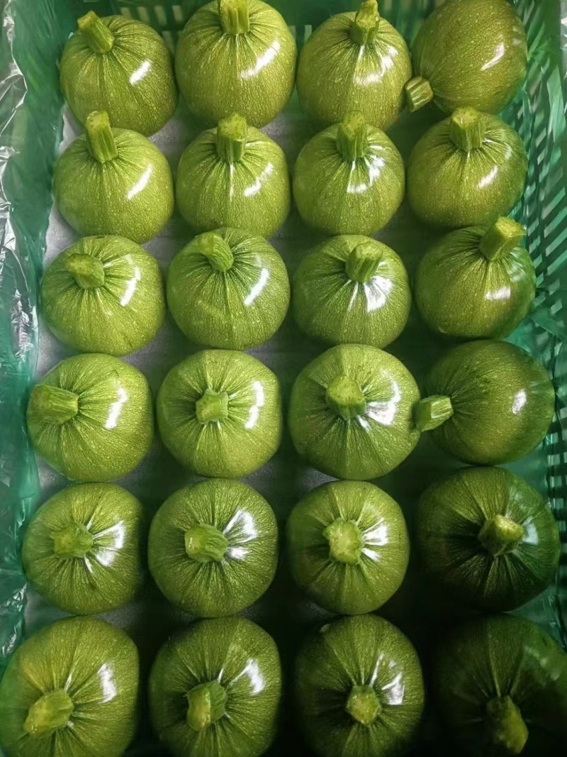 精品瓢瓜