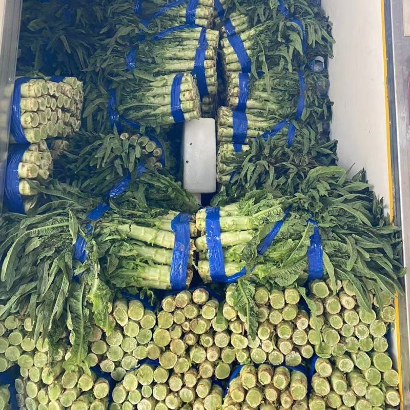 莴笋直销一手货源产地供应时价咨询