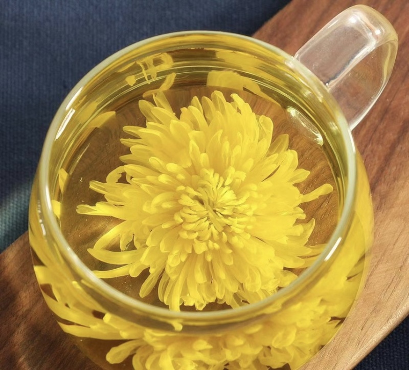 金丝皇菊
