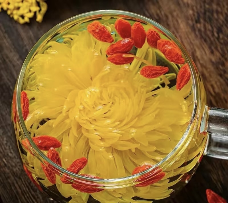 金丝皇菊