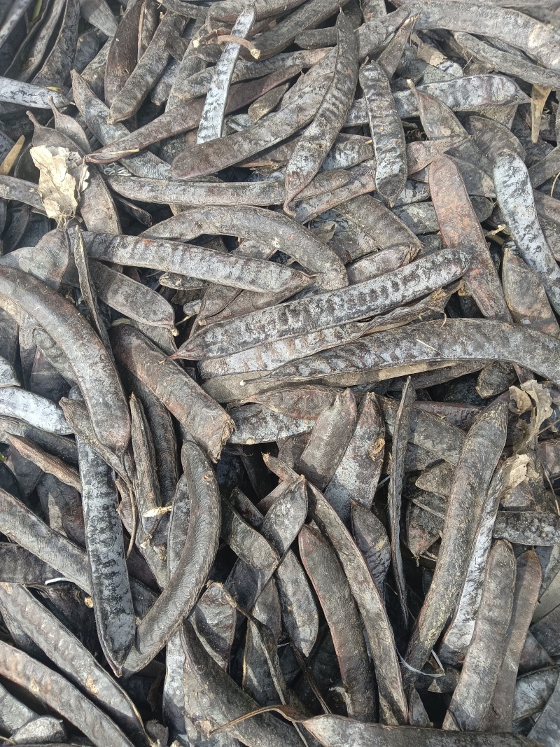 皂角山东临沂连系电话***********