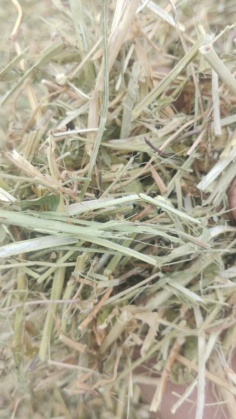 花生秧草料