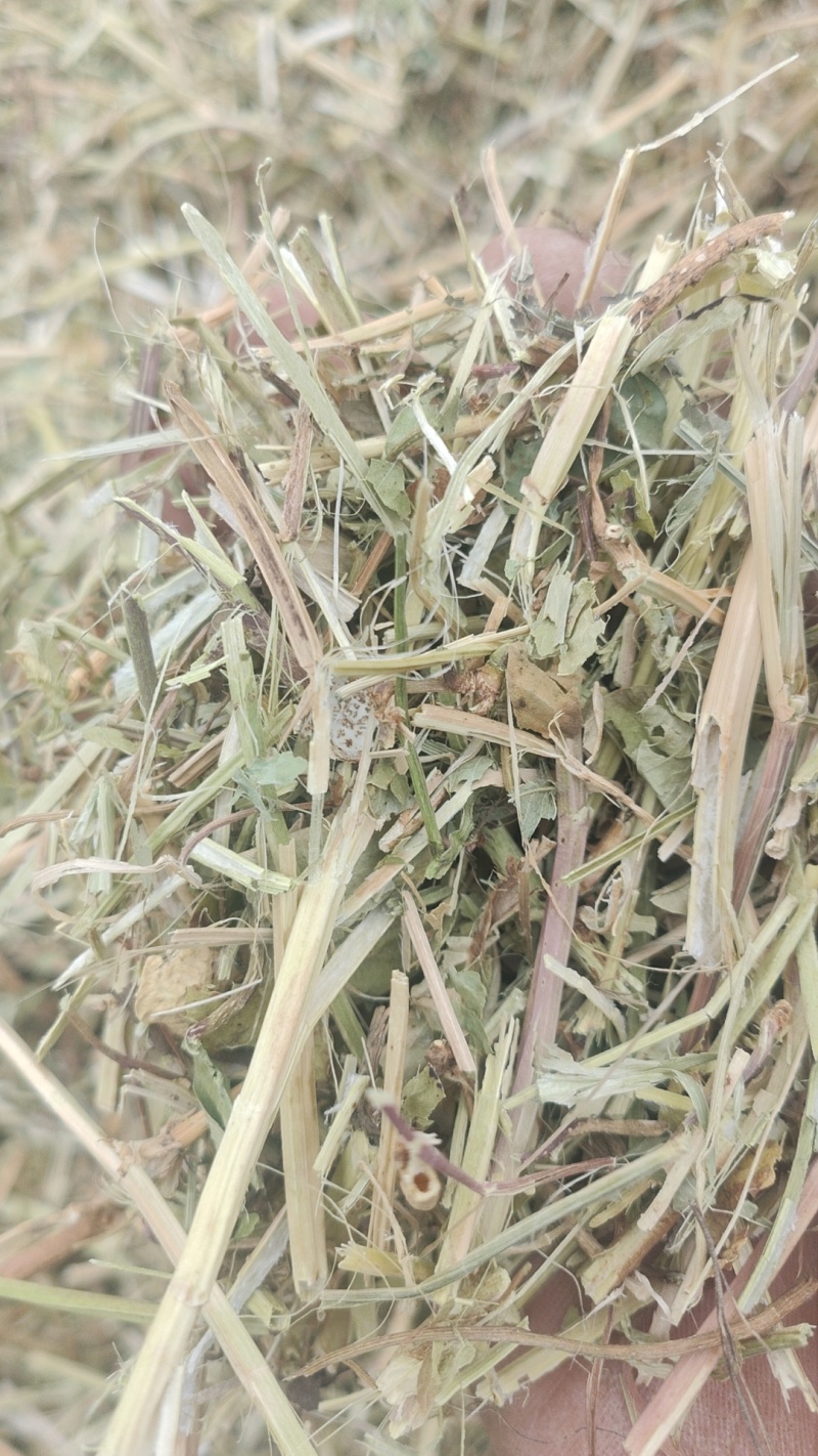 花生秧草料
