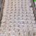 水饺纯手工现包现发品质保证量大从优口味齐全欢迎咨询