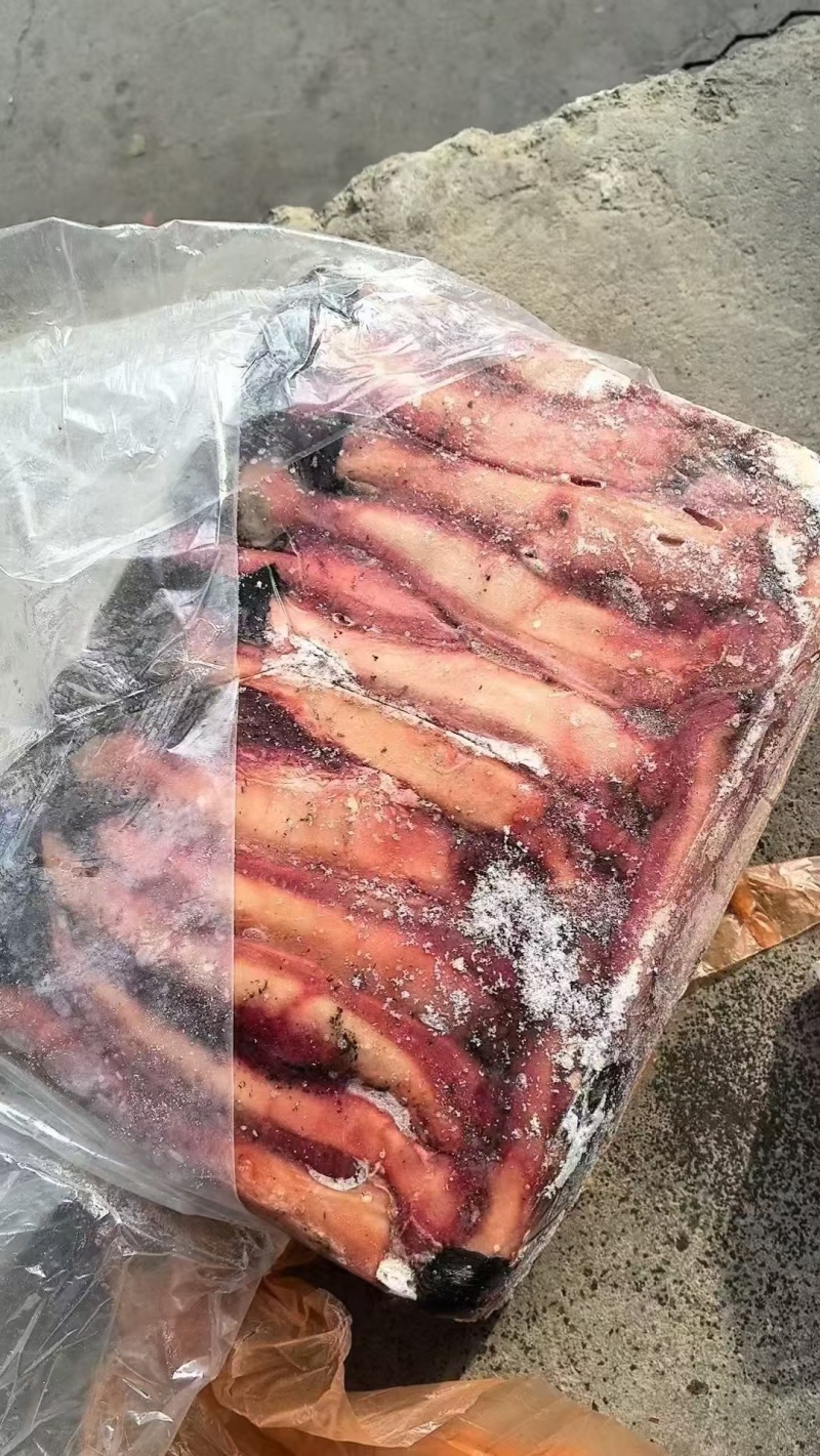 驴鞭