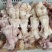 【熟羊杂】牛主筋