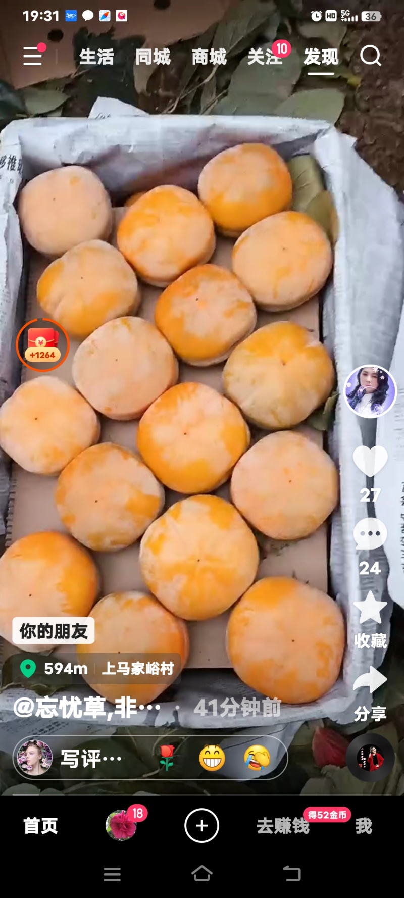 磨盘大柿子