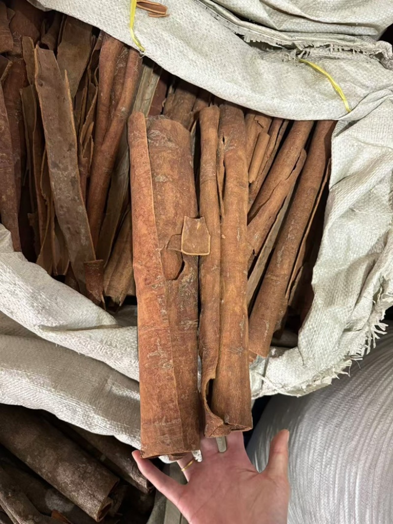 肉桂现货肉桂丝肉桂筒去皮肉桂油桂肉桂筒桂筒大料