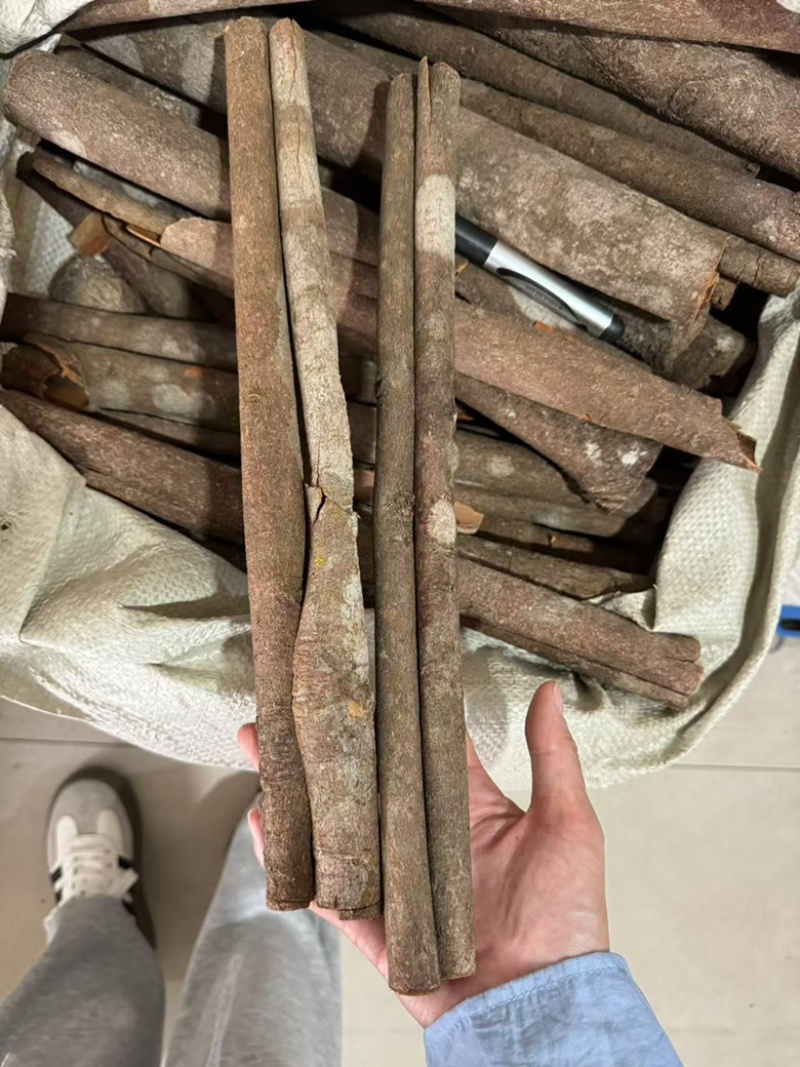 肉桂现货肉桂丝肉桂筒去皮肉桂油桂肉桂筒桂筒大料