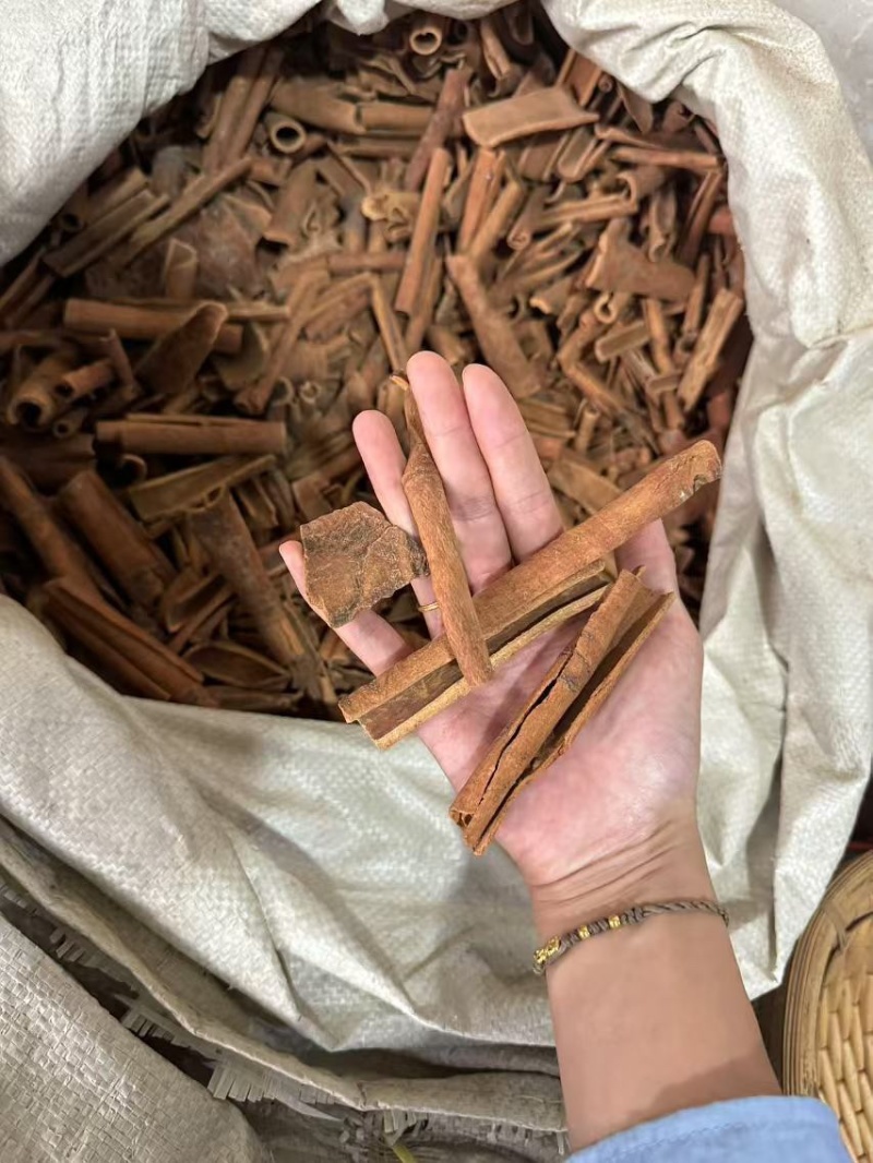 肉桂现货肉桂丝肉桂筒去皮肉桂油桂肉桂筒桂筒大料