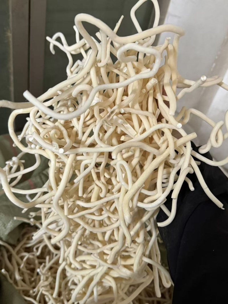 小通草通草正品通草另有王不留行现货干净