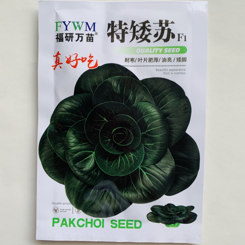 特矮苏州青种子耐寒矮油亮苏州青菜种子纤维少好吃青菜种