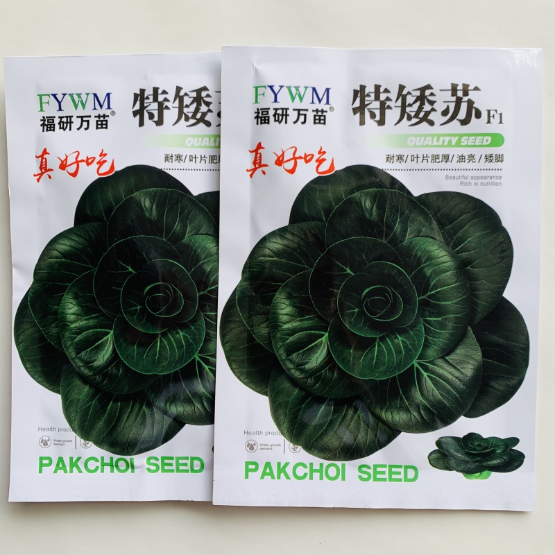 特矮苏州青种子耐寒矮油亮苏州青菜种子纤维少好吃青菜种