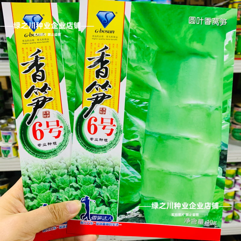 香笋6号高桩圆叶三青莴笋种子耐热抗寒绿皮绿叶莴苣种籽