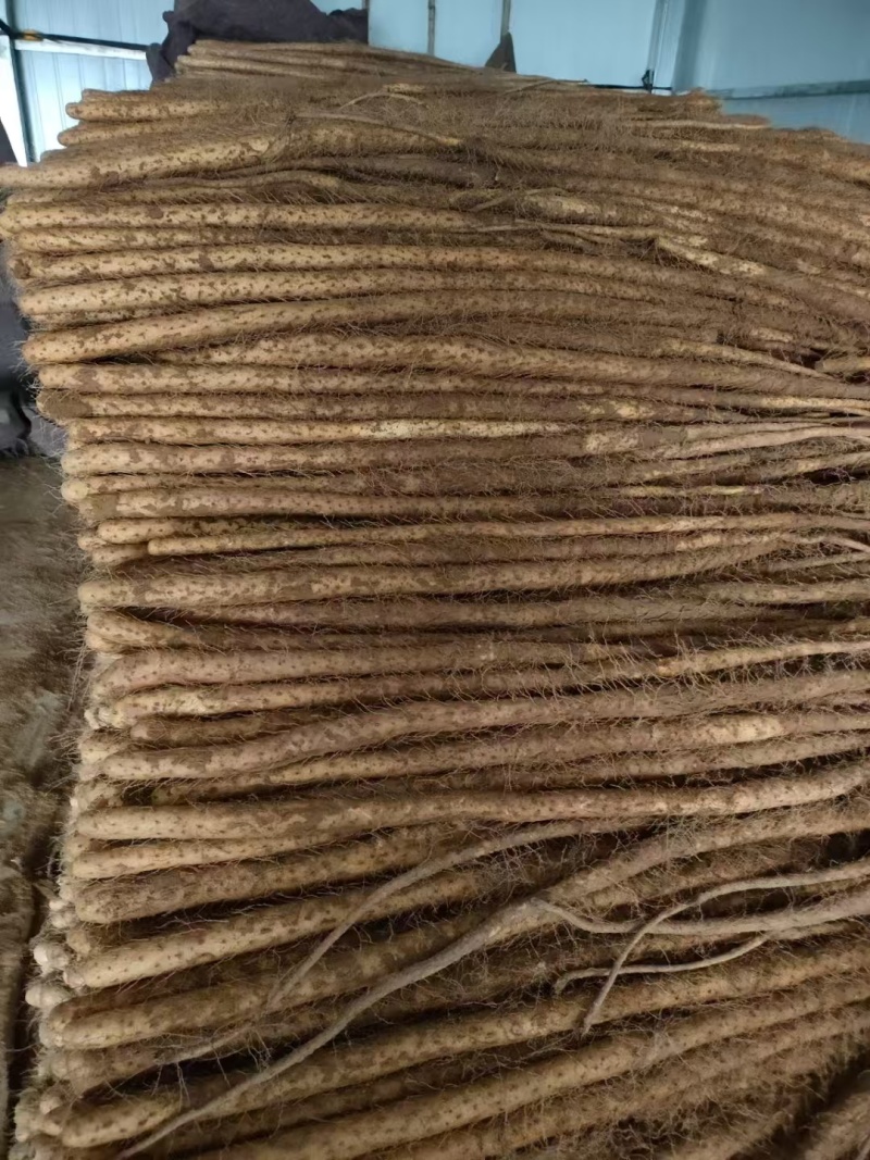 灵宝铁棍红皮山药，三门峡白玉山药，现挖现发