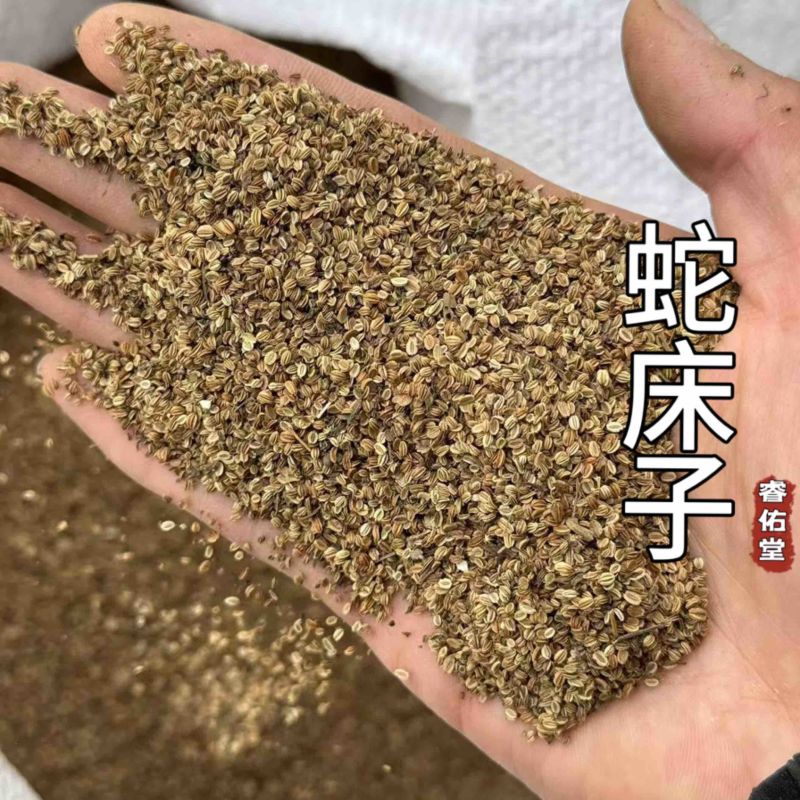 蛇床子实拍干净货无杂质发货如图蛇床子