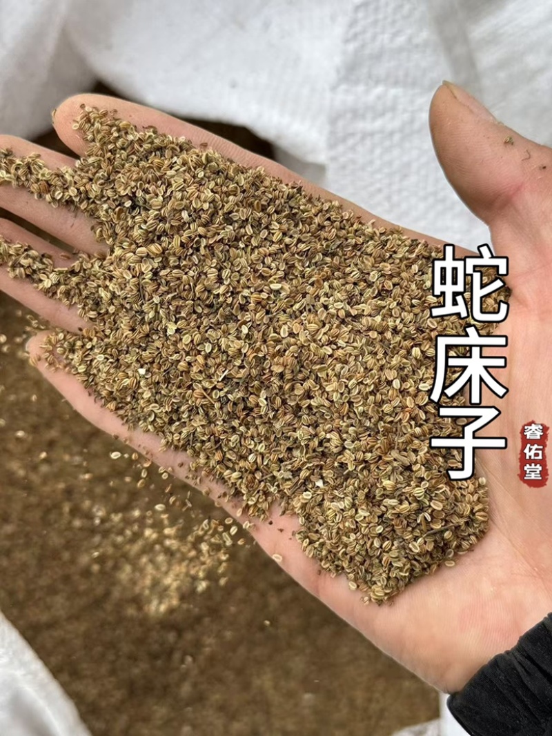 蛇床子实拍干净货无杂质发货如图蛇床子