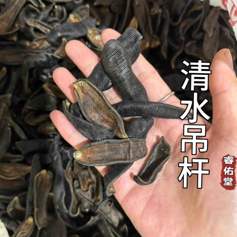 无盐无矾正品清水吊杆水蛭干宽体金线发货如图