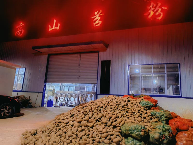 正宗红薯粉