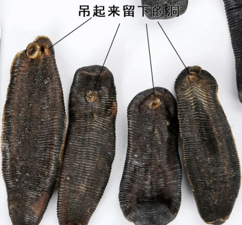水蛭干正品无盐无矾宽体金线清水吊杆发货如图实拍
