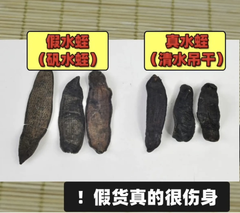 水蛭干正品无盐无矾宽体金线清水吊杆发货如图实拍