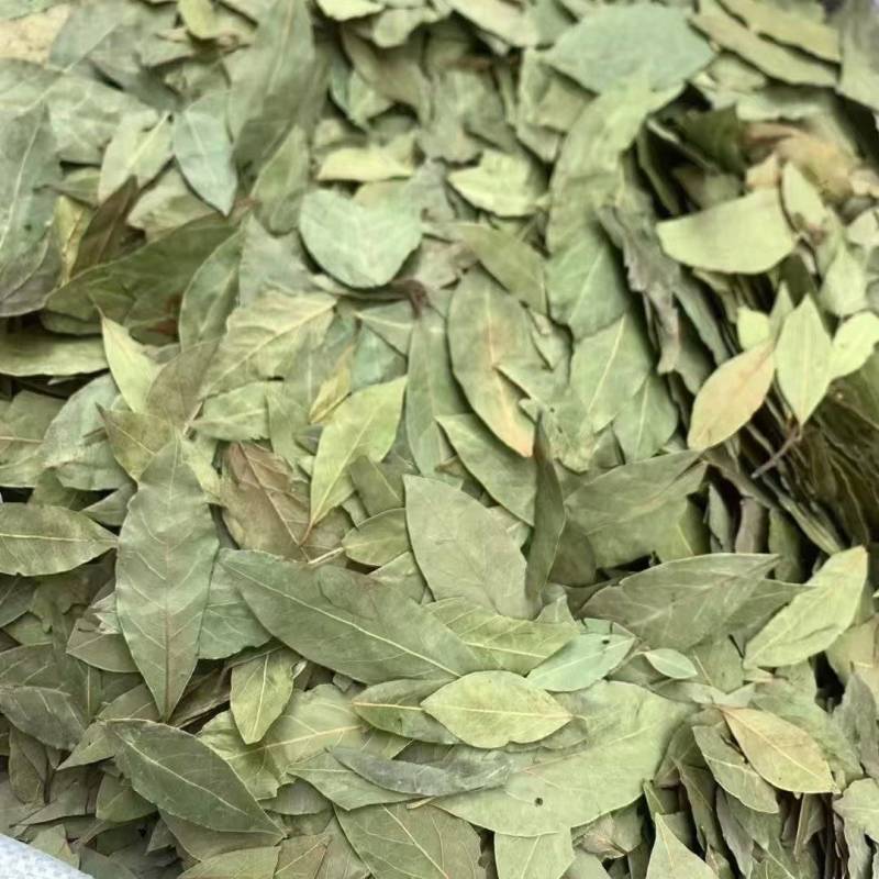格鲁吉亚香叶，调味品，香味浓郁，片状好，无杂质。