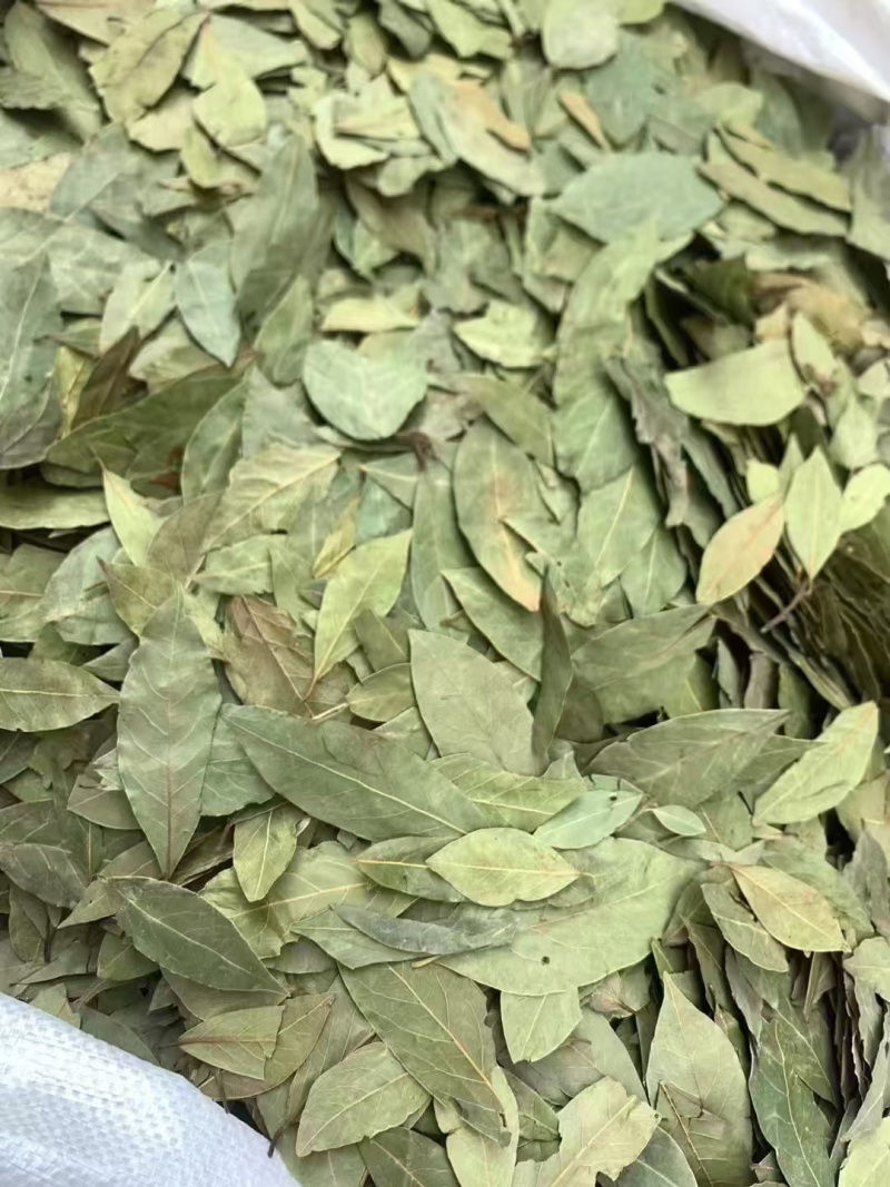 格鲁吉亚香叶，调味品，香味浓郁，片状好，无杂质。