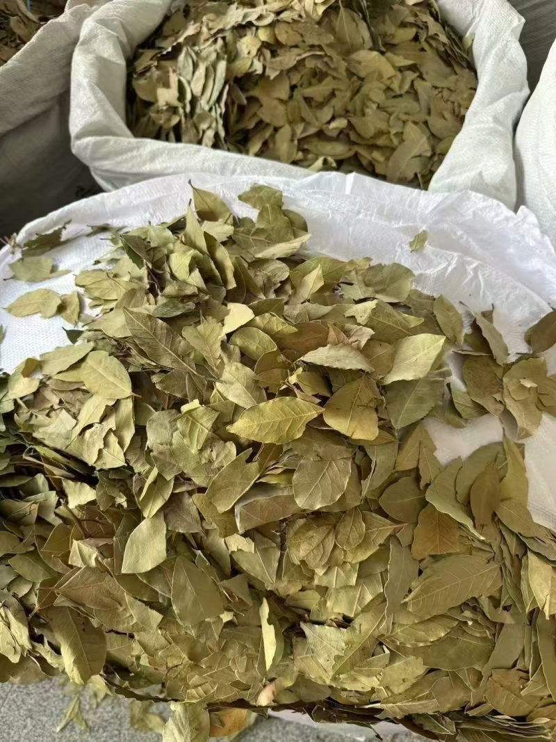 格鲁吉亚香叶，调味品，香味浓郁，片状好，无杂质。