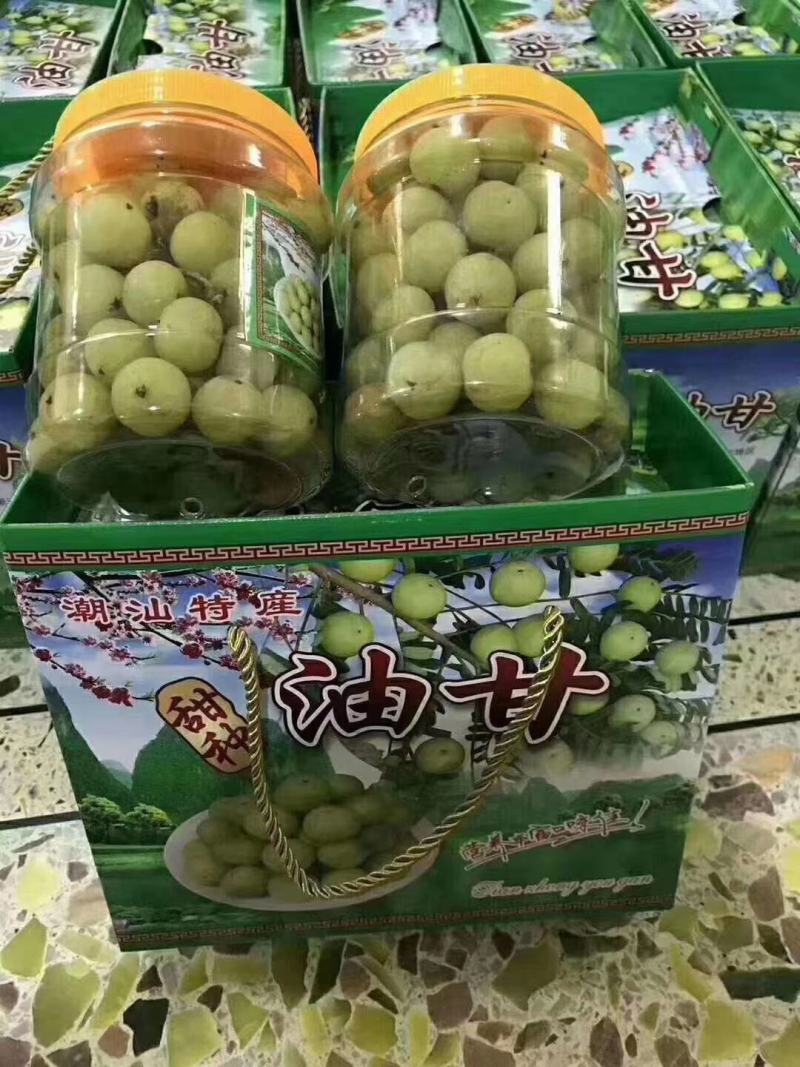 大量油甘果采摘中，便宜出！