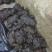 石蛙价格优惠大量供应产地直发品质保障