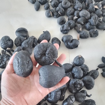 野生乌灵参干品，实心，纯黑，各种规格都有现货