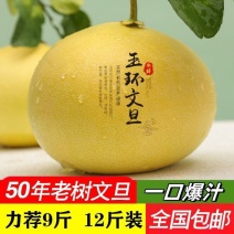 【文旦柚】玉环文旦柚楚门蜜柚柚子当季新鲜水果孕妇水果
