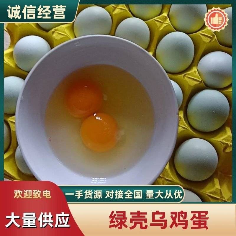 湖南长沙精品绿壳鸡蛋五黑乌鸡蛋土鸡蛋壳色光亮码数齐全