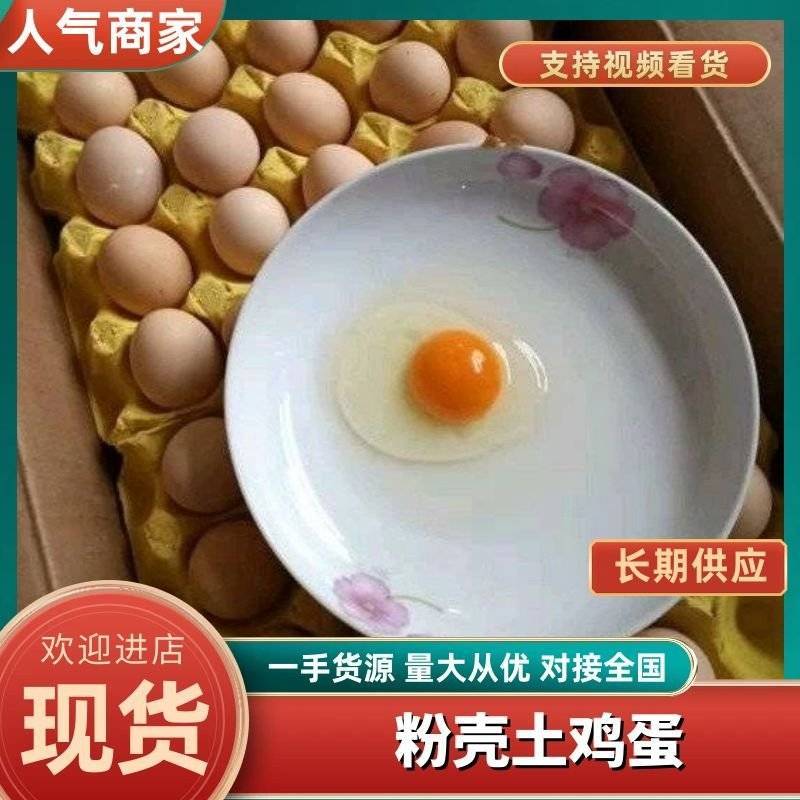 11-12个一斤精品粉壳土鸡蛋草鸡蛋新杨黑黑凤粉八