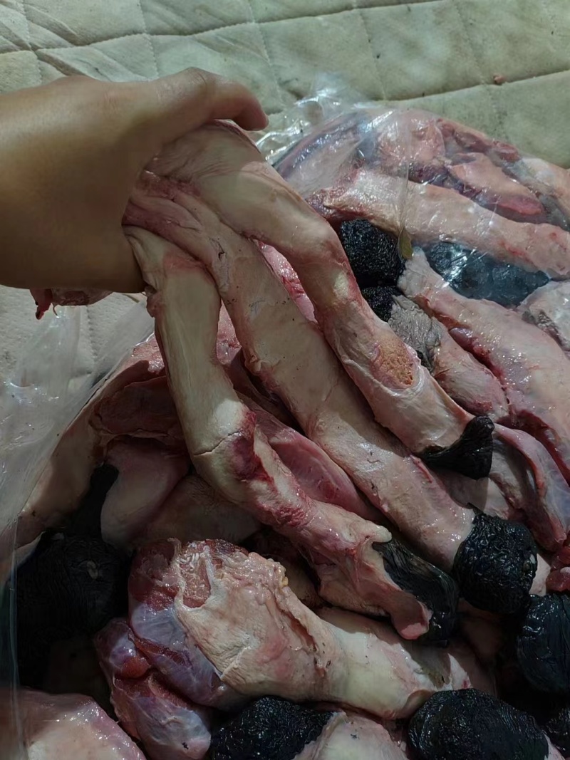 光杆马鞭