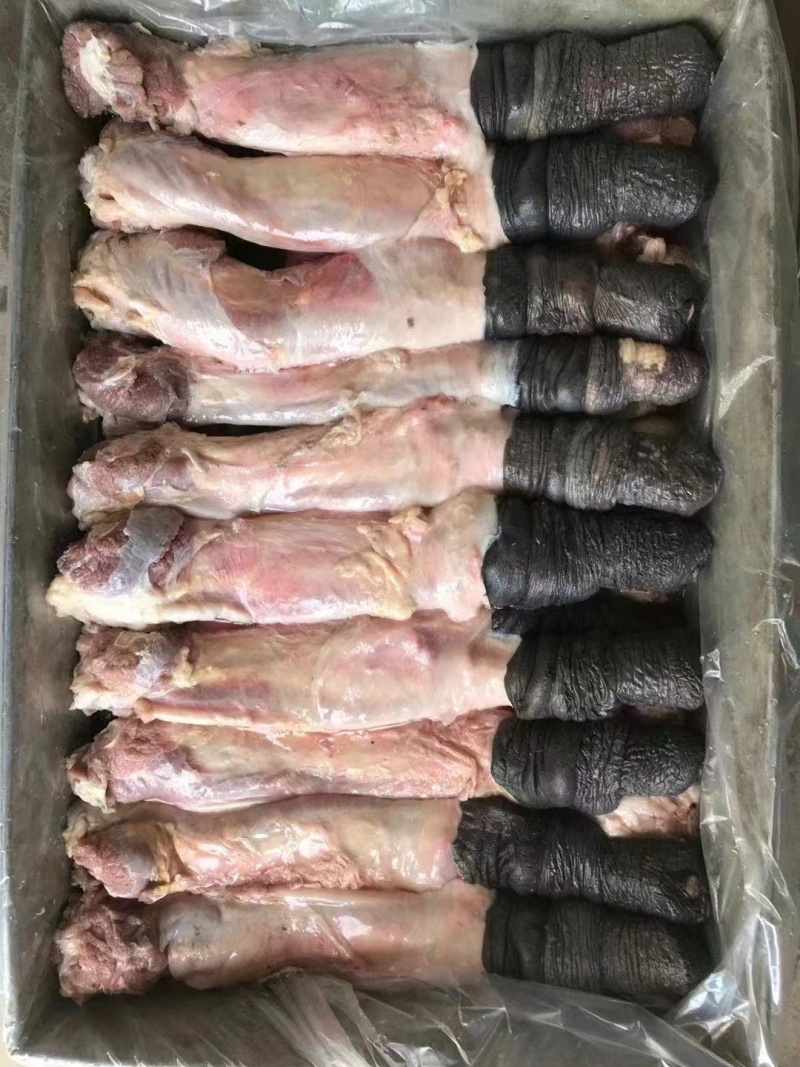 光杆马鞭