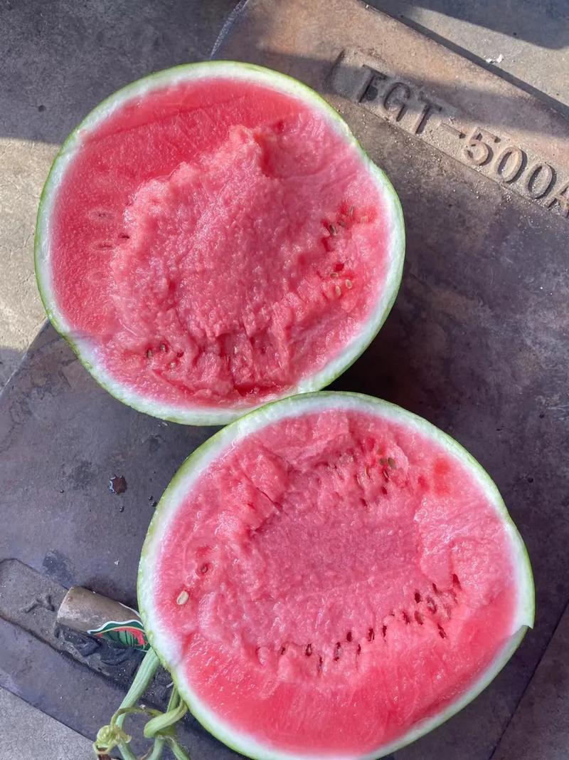 无籽美都西瓜大量上市