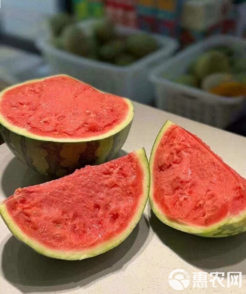 无籽美都西瓜大量上市
