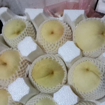 精品冬桃蜜桃上市